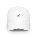 Low Profile Baseball Cap