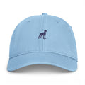 Coastal Washed Cap