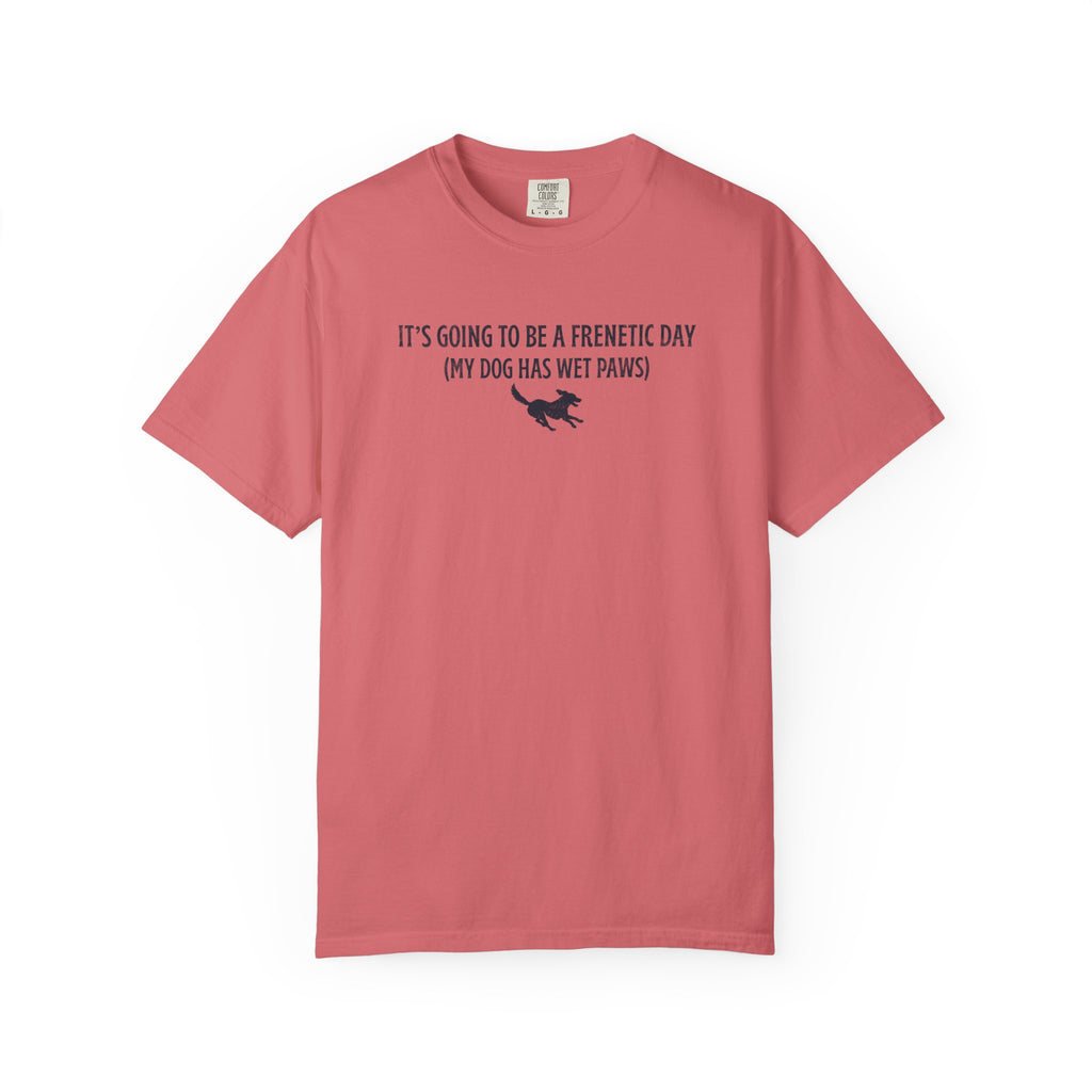 Frenetic Day T-Shirt