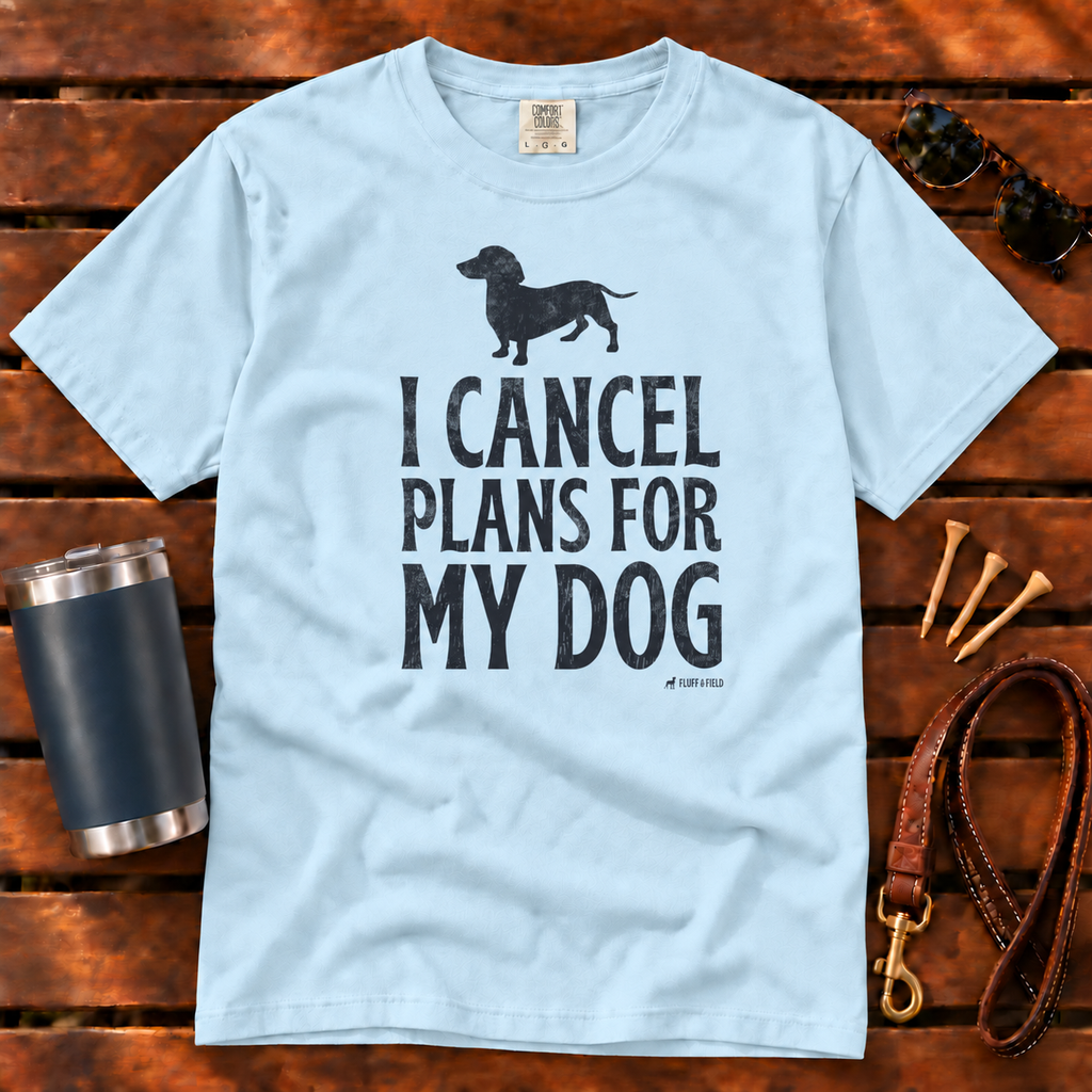I Cancel Plans for My Dog T-Shirt