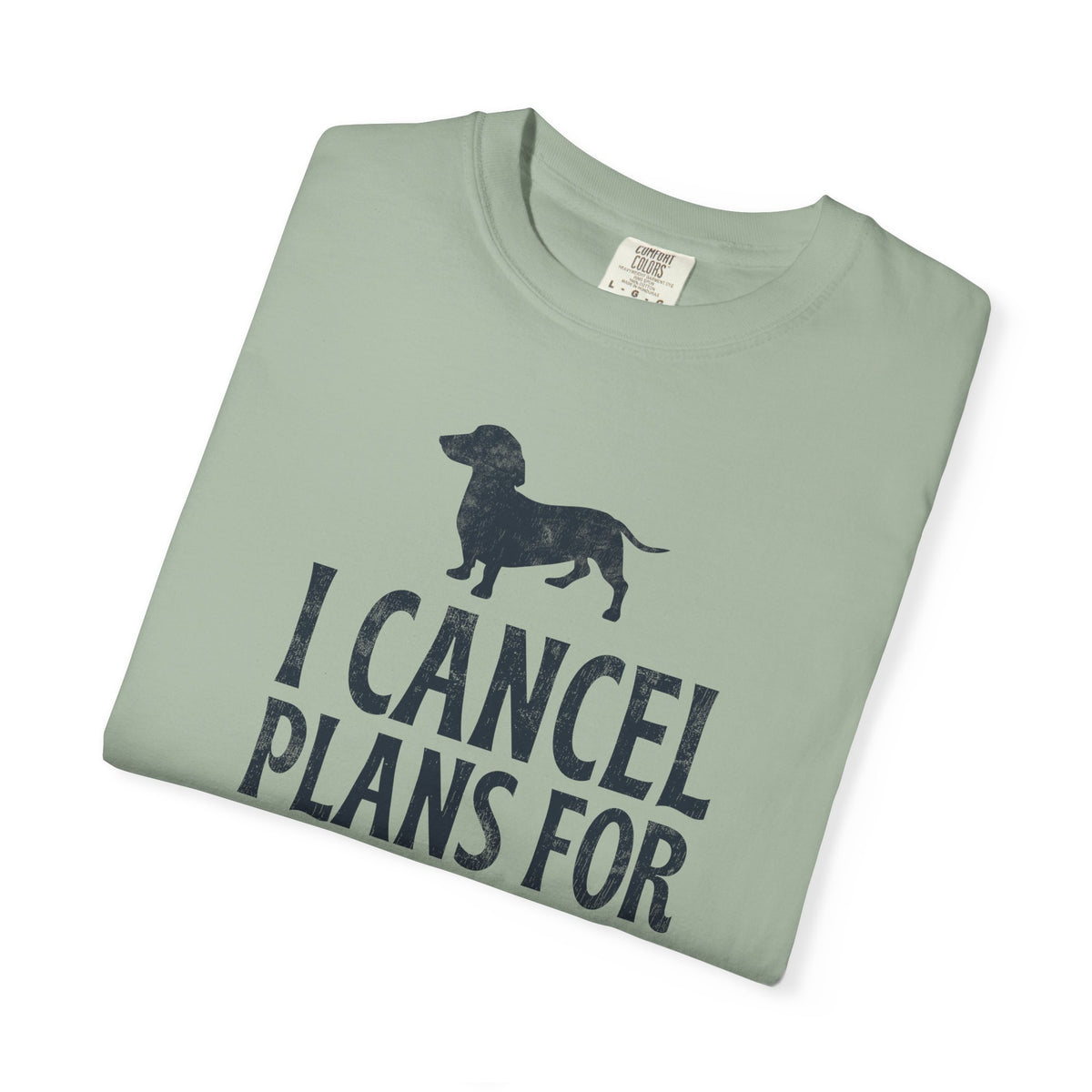 I Cancel Plans for My Dog T-Shirt