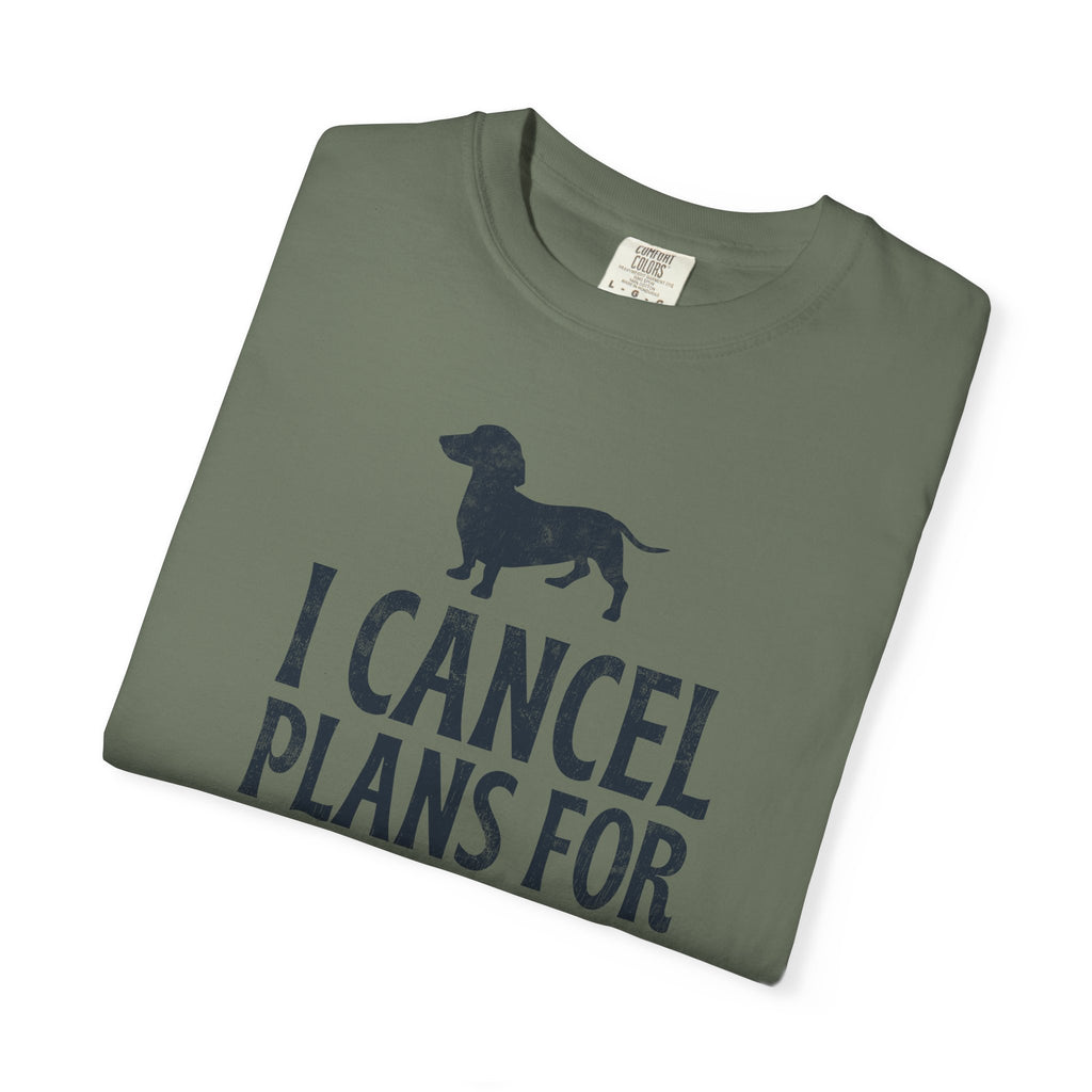 I Cancel Plans for My Dog T-Shirt