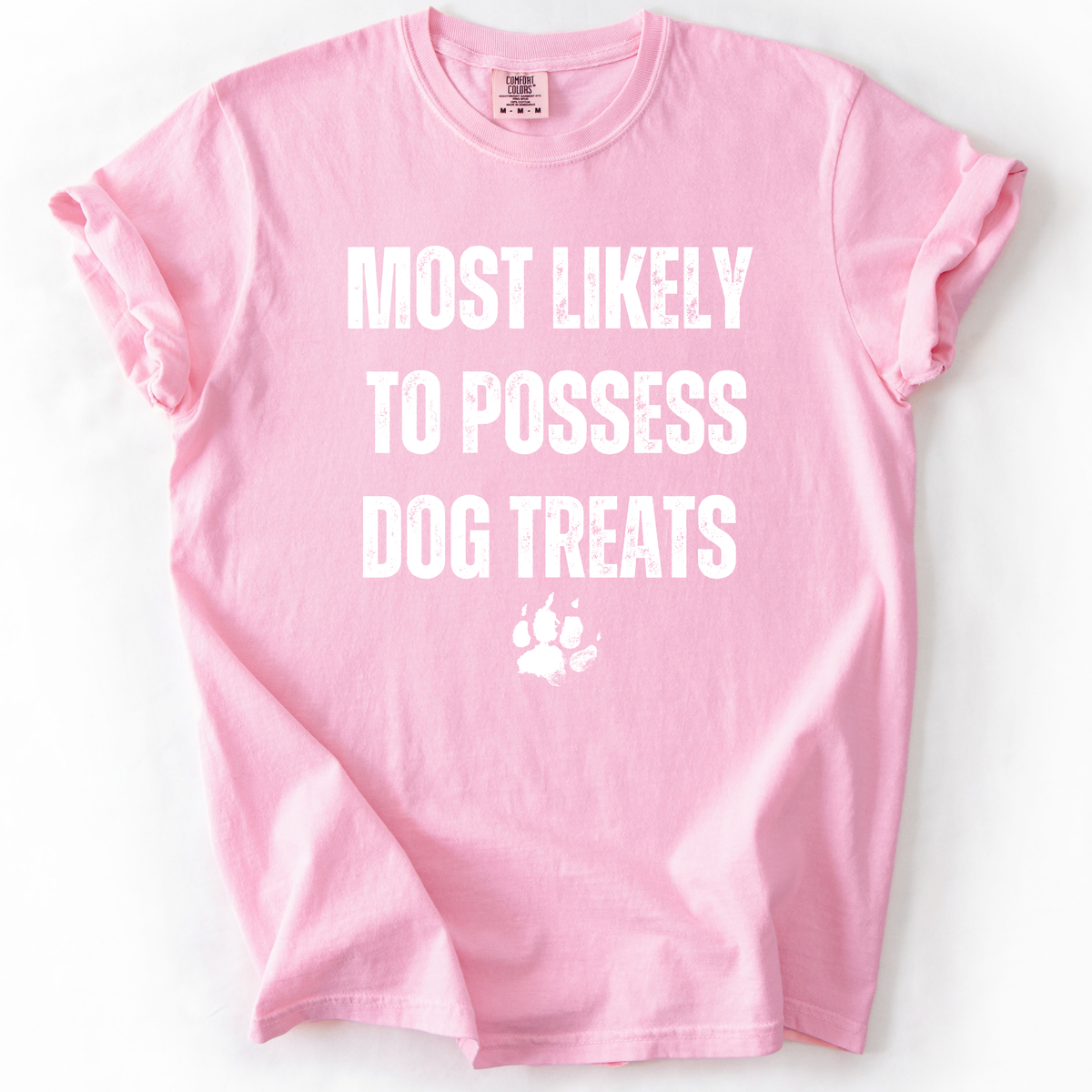 Dog Treat Possession T-Shirt
